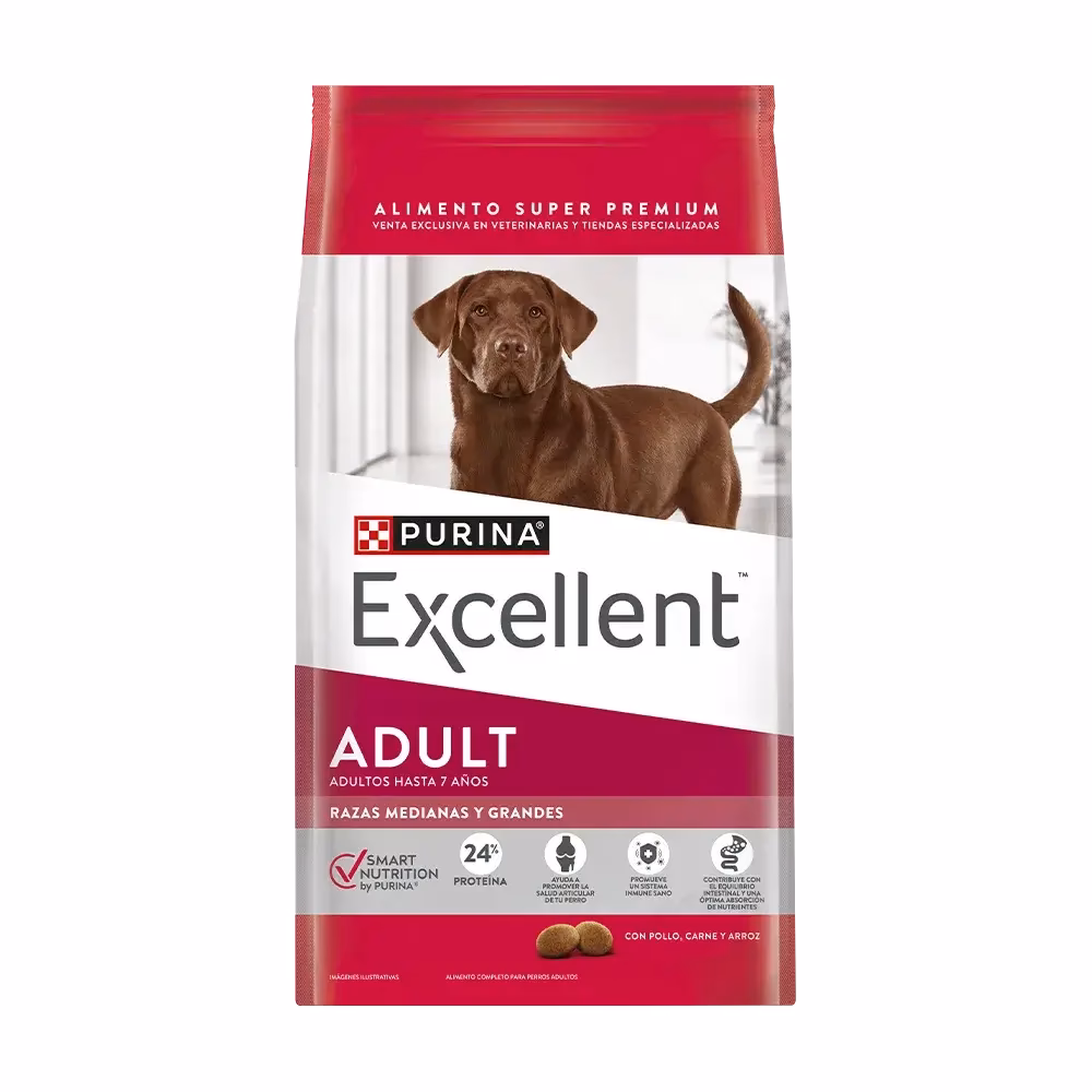 ¿Qué marcas de comida de perro son las mejores?