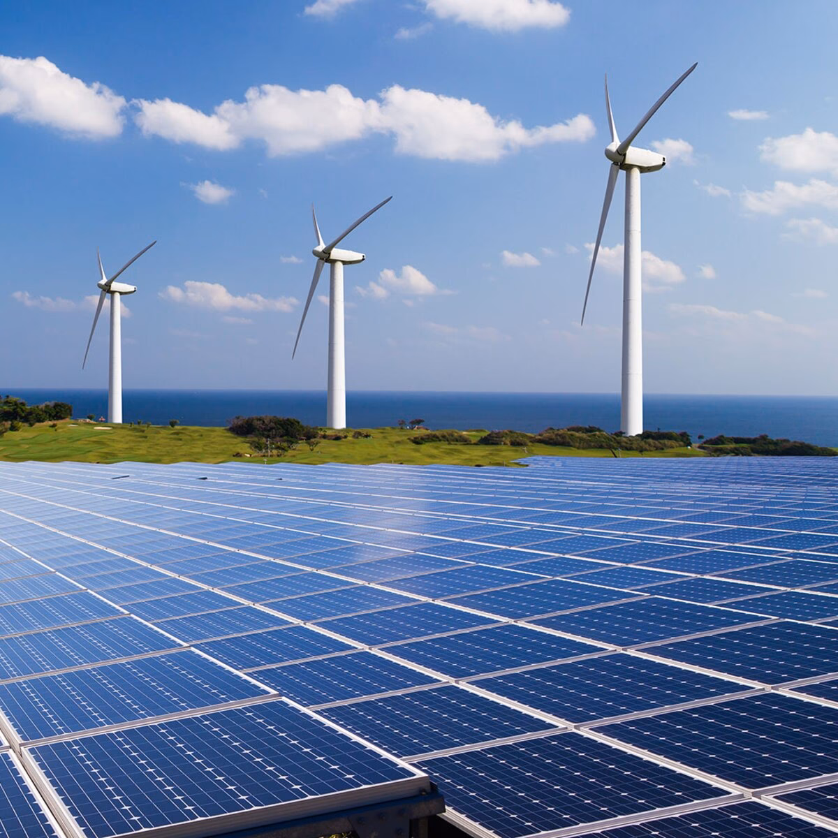 ¿Cuáles son las 7 energías renovables?