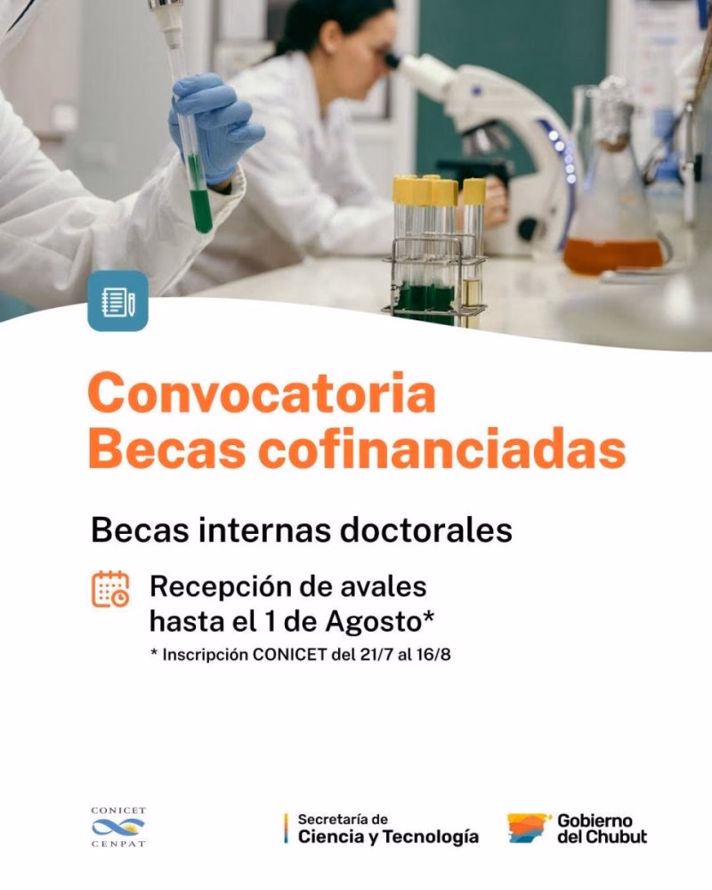 ¿Qué son las BECAS CONICET?