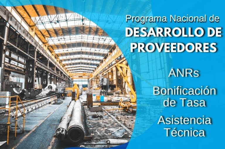 PRODEPRO: El Motor del Desarrollo Industrial Argentino