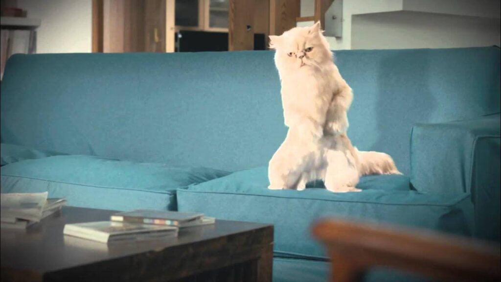 YPF: El Corazón Energético de Argentina