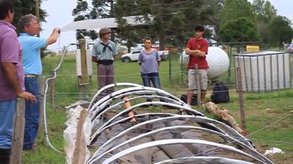 Biodigestores: Tipos y Beneficios de esta Energía