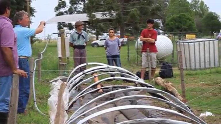 Biodigestores: Tipos y Beneficios de esta Energía