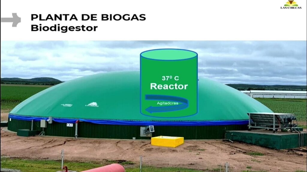 Biodigestores: Desventajas y Desafíos Clave
