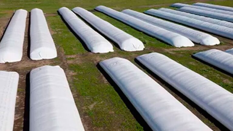 Silo Bolsa: La Revolución del Almacenaje Agrícola