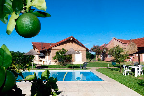 YPF: Tu Compañero en las Rutas Argentinas