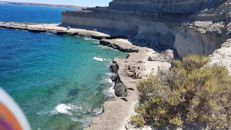 Puerto Madryn: Un Destino YPF Inolvidable