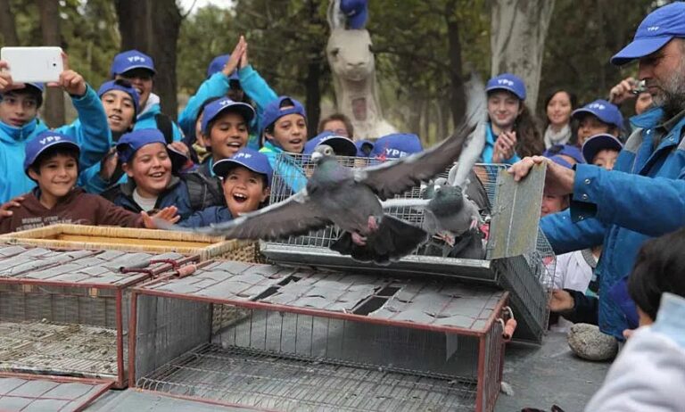 Aves de Argentina: La Riqueza que YPF Ayuda a Proteger