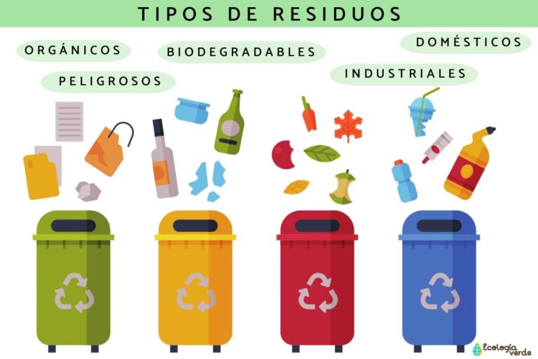 Guía Completa para Clasificar Residuos Domésticos