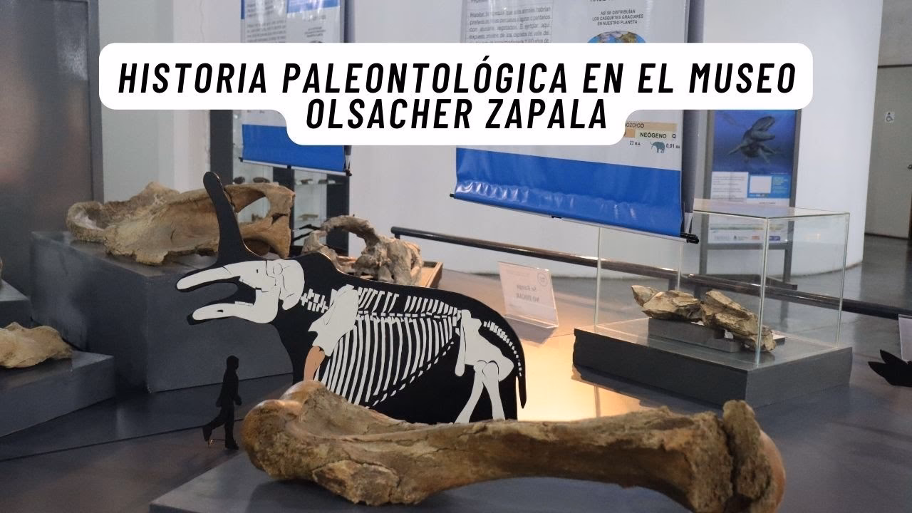 ¿Cuál es el mejor museo de dinosaurios en Argentina?
