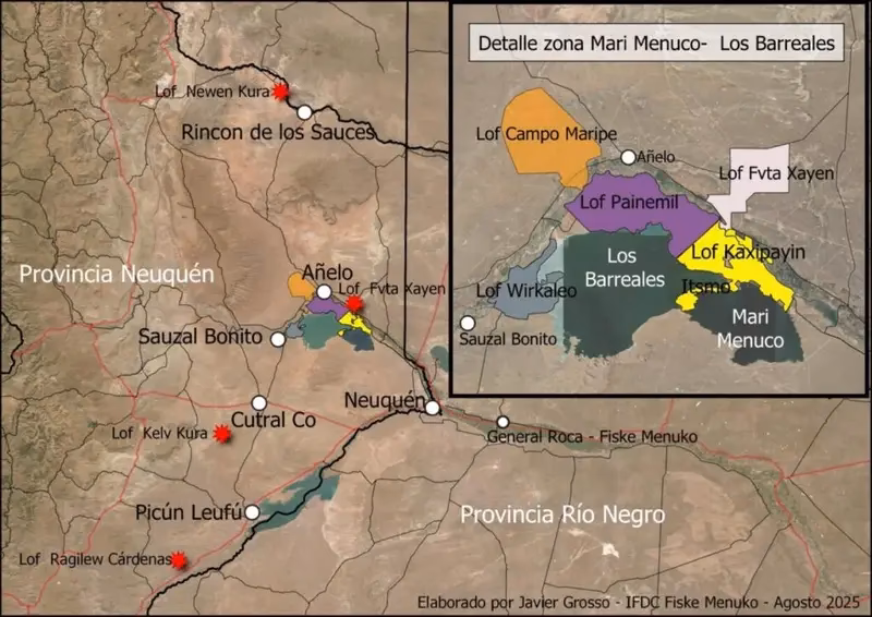 ¿Cuándo empezó el conflicto mapuche?