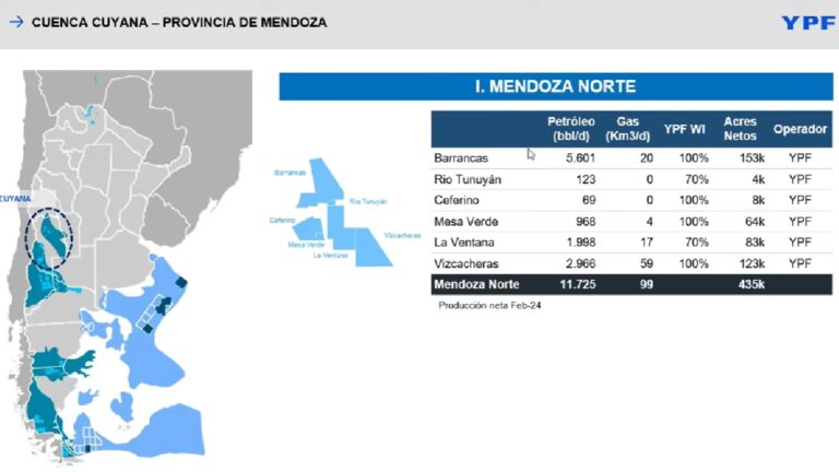 Diario Los Andes: Historia del pionero mendocino