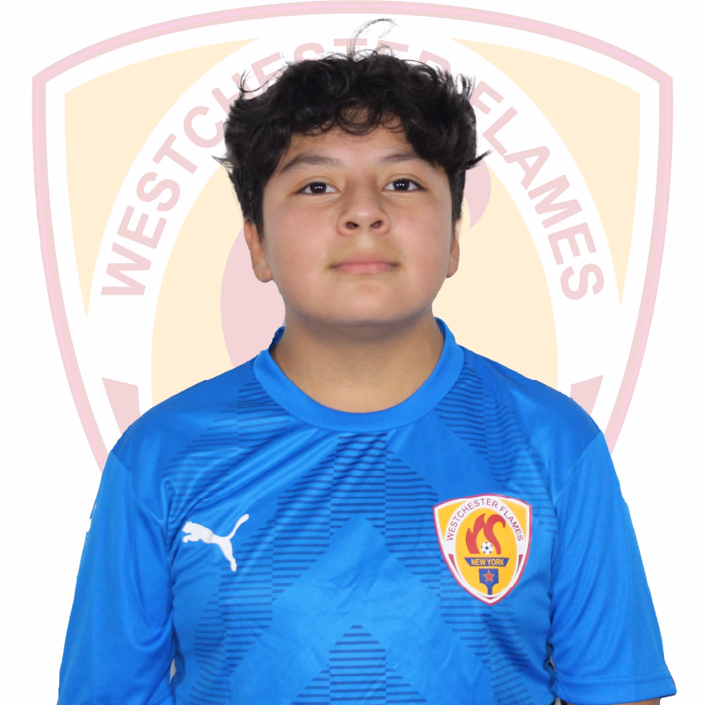 ¿Quién es Diego Méndez?