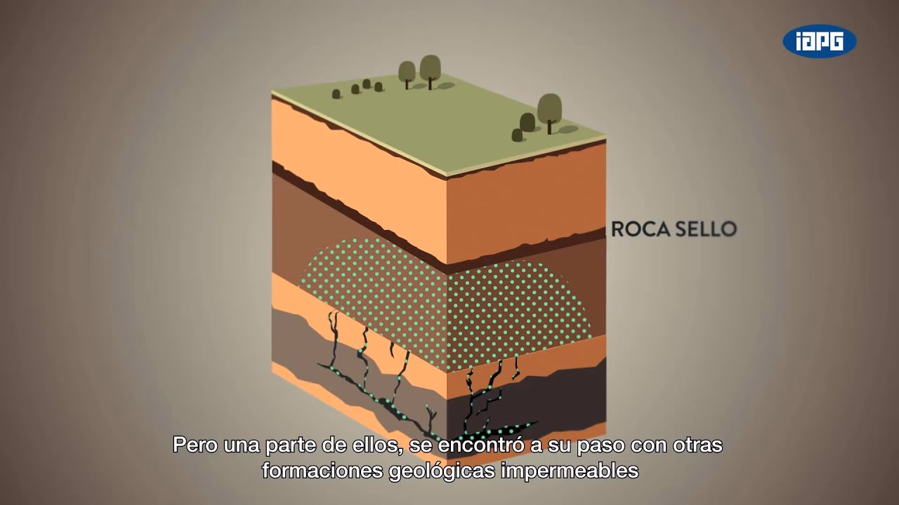 ¿Cuál es el origen de los hidrocarburos?