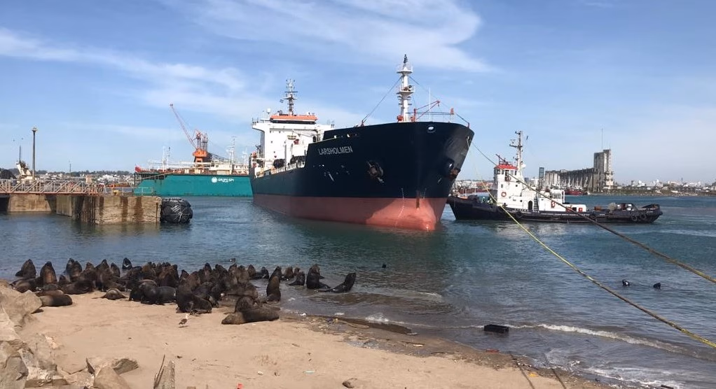 ¿Qué actividades se realizan en el Puerto de Mar del Plata?