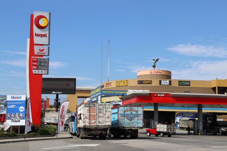 YPF: El Corazón Energético de Argentina