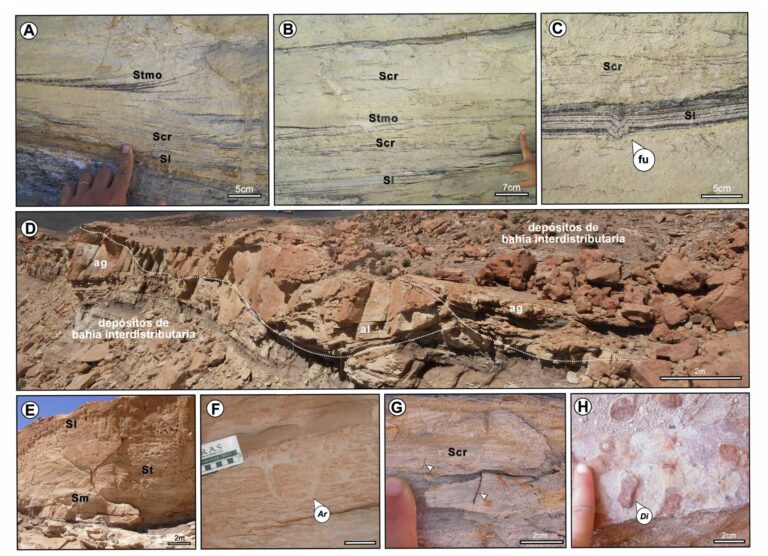 Geología de YPF: ¿Qué es un Estrato Lenticular?