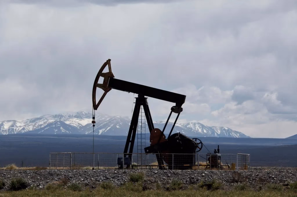 ¿Dónde buscar estudios de impacto ambiental?