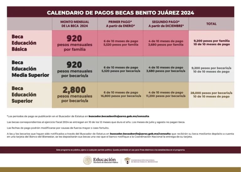 Becas YPF: Guía Completa de Pagos y Consultas