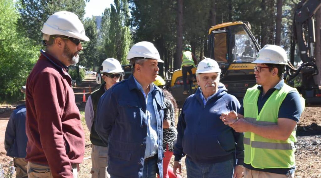 YPF: El Compromiso Forestal para un Futuro Verde