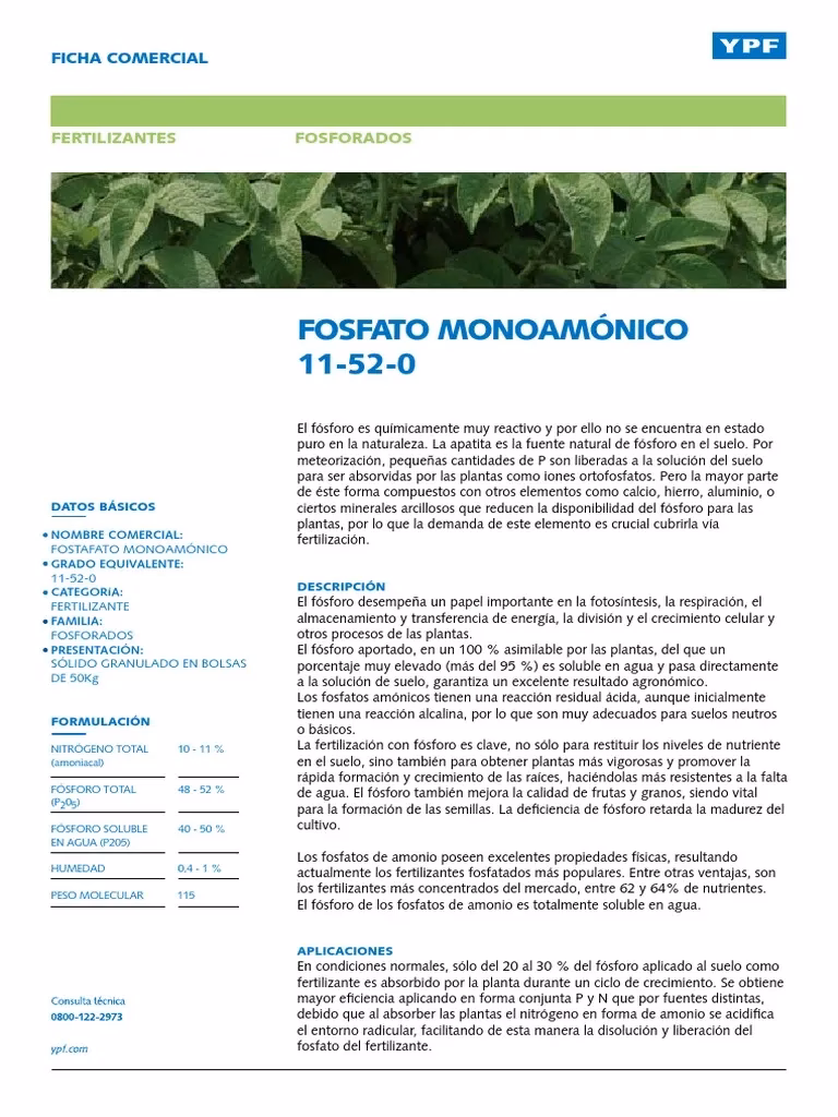 ¿Qué componentes tiene el DAP?