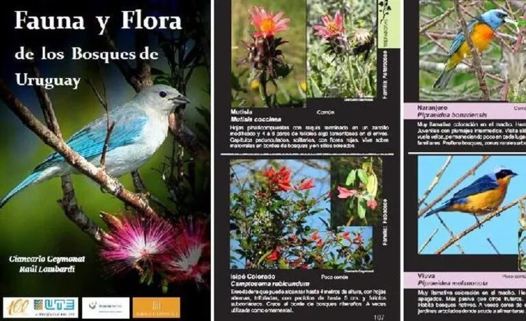 YPF y la Protección de la Biodiversidad Nacional