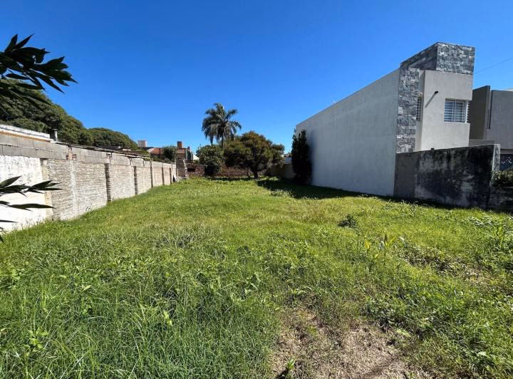 YPF: El Valor del Terreno Energético Argentino