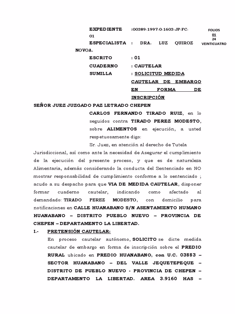¿Se puede embargar la AFP por alimentos?