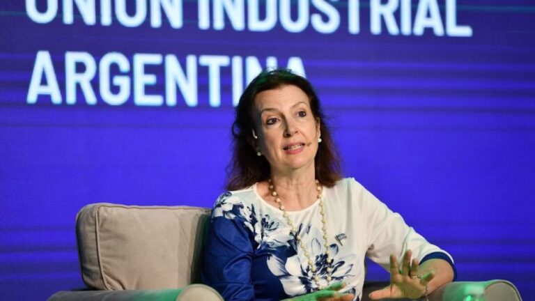 Diana Mondino y el futuro de YPF