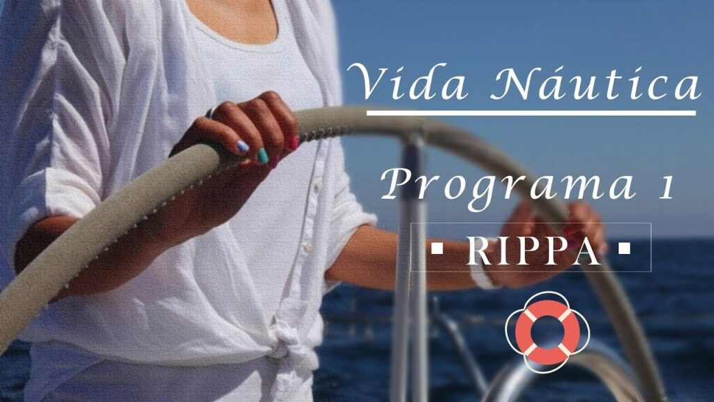 Guía para tu Licencia Náutica: Timonel vs Carnet