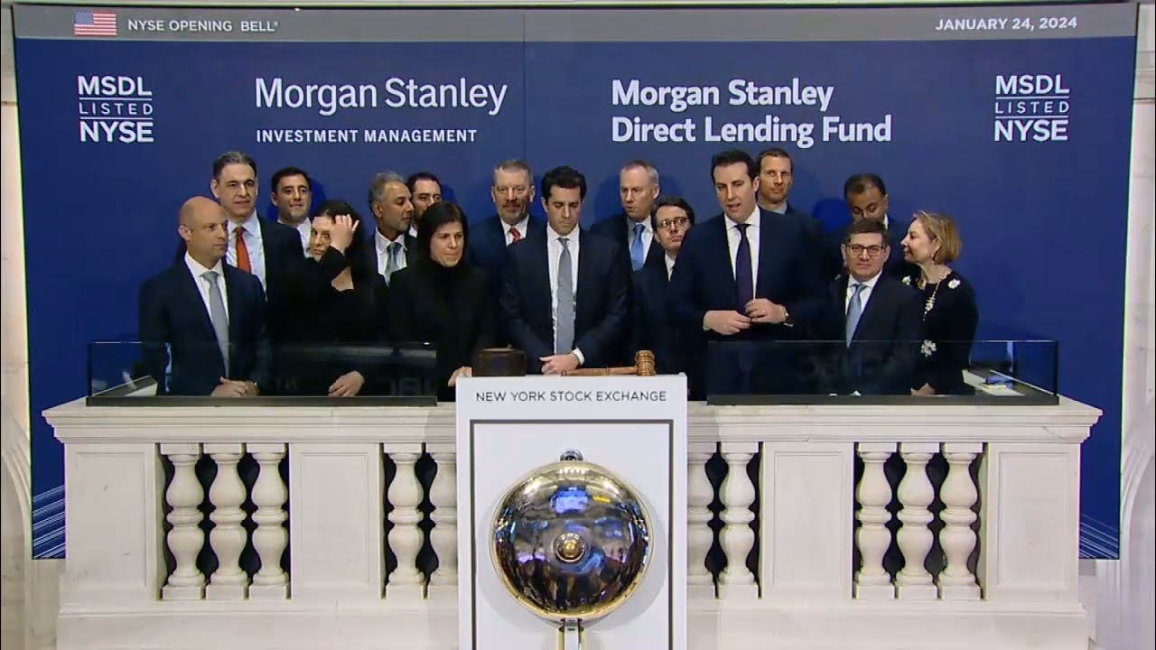 What is Morgan Stanley's price target for Tesla?