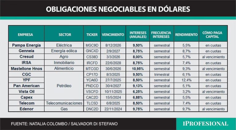 Obligaciones Negociables de YPF en Dólares: Guía