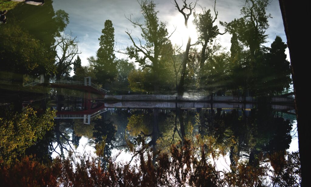 Parque Sarmiento de Córdoba: Guía Completa