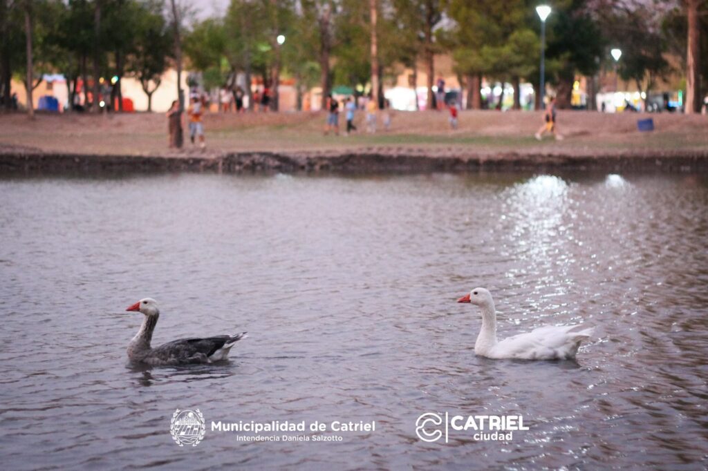 Pato Silva: La vida después de la gloria en TC