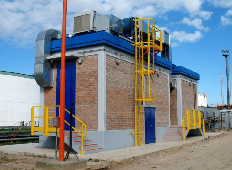 YPF: El Motor de la Identidad Argentina