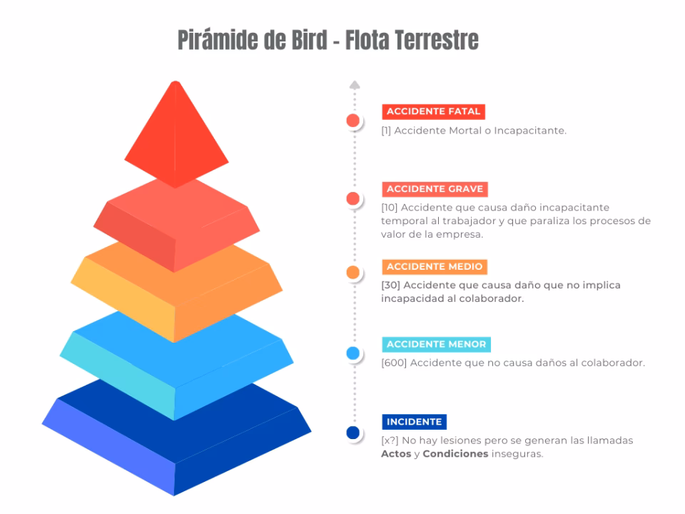 ¿Qué es la regla de Bird?