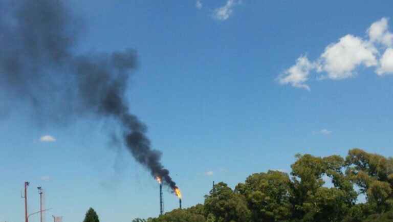 Palo Santo y Humo Negro: ¿Un Mal Augurio?