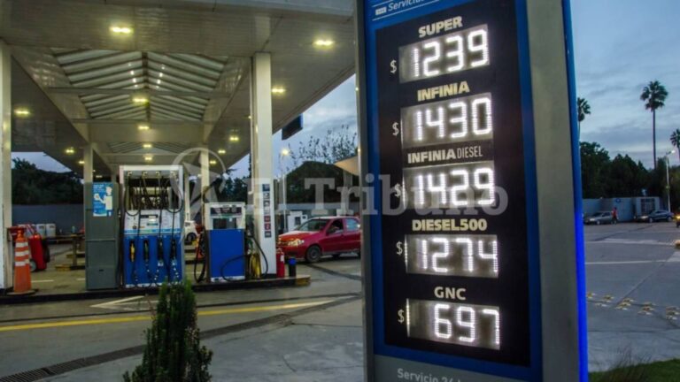 Precio Nafta Infinia YPF en Salta: Guía Completa