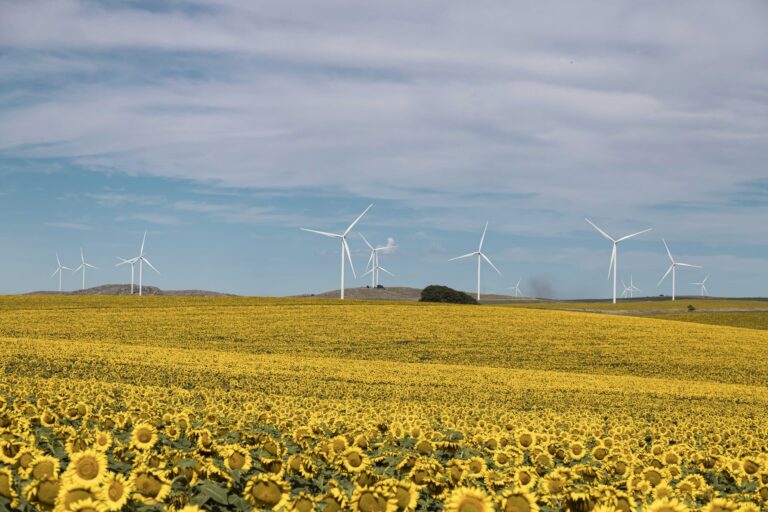 YPF y la Evolución de la Energía Eólica