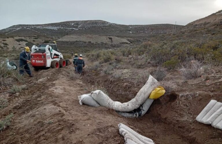 Recursos Renovables: El Futuro Energético de Argentina