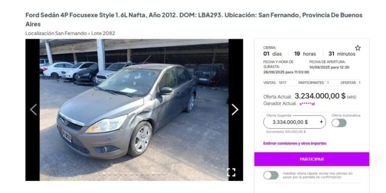 Guía YPF: Comprar Autos Embargados en Argentina