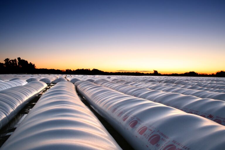 Silo Bolsa: ¿Cuánto grano puede almacenar?