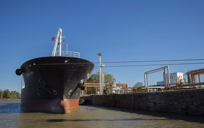 ¿Cuál es el puerto más famoso de Argentina?