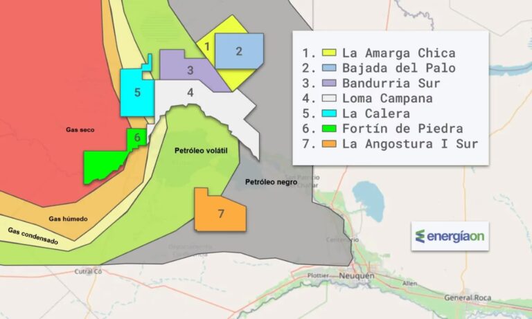 Vaca Muerta: El Gigante Energético Argentino
