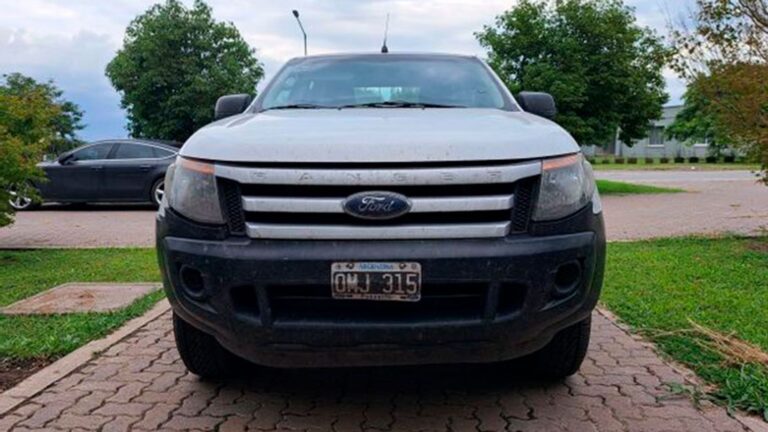 Subastas YPF: Guía para Comprar Activos Online