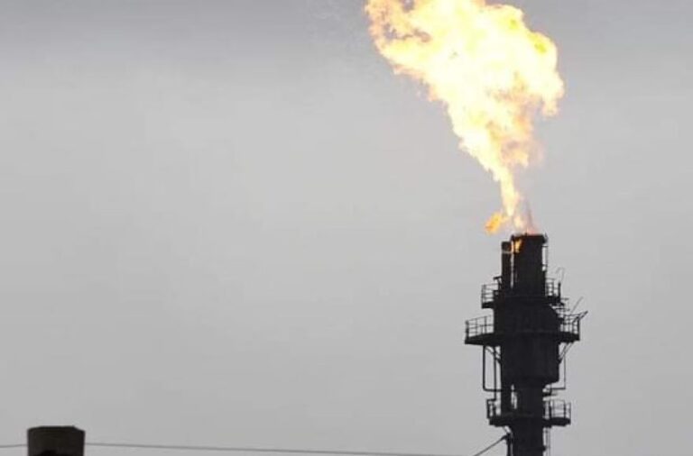 Contaminación en el Río de la Plata: Un Desafío