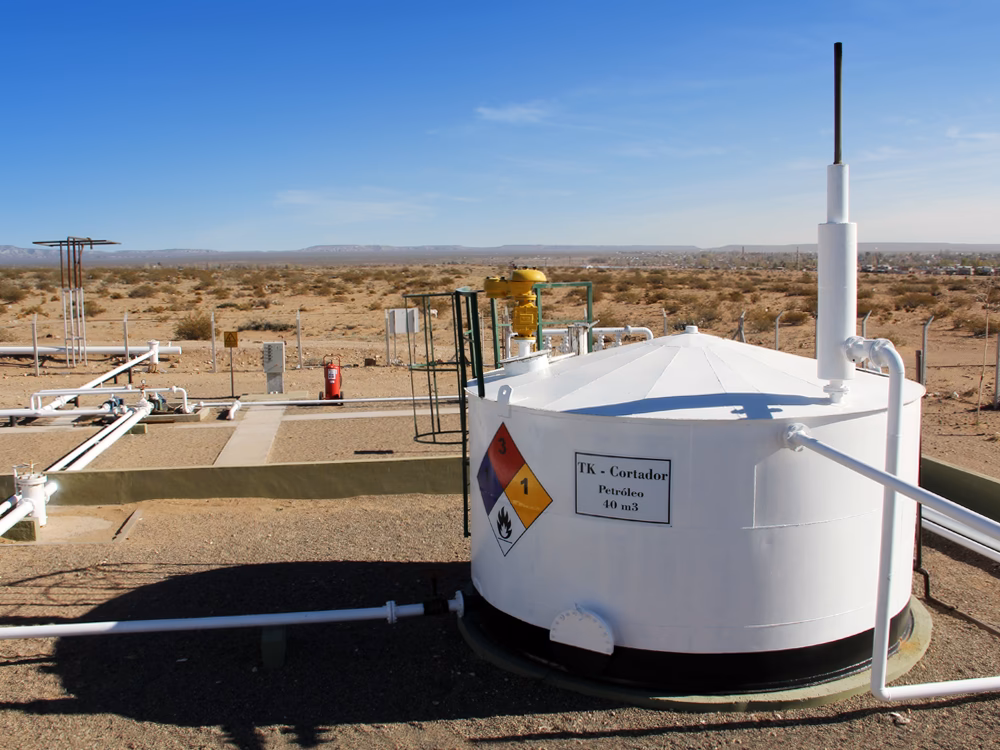 ¿Qué es El Medanito?