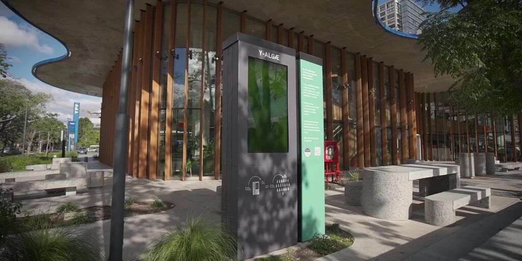 Biocombustibles de Algas: ¿El Futuro de la Energía?