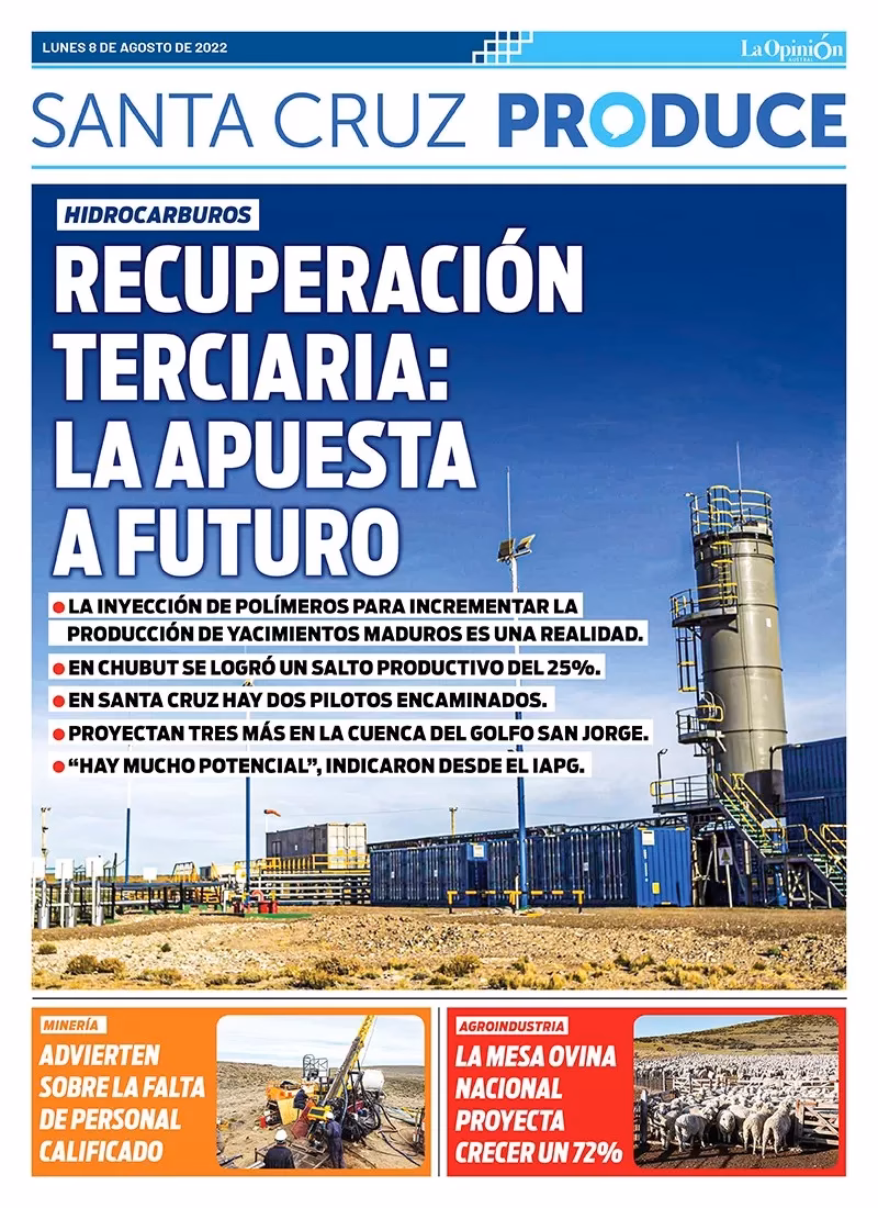 ¿Qué es la recuperación terciaria?