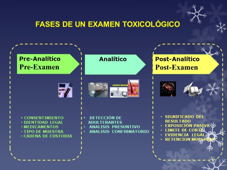 Exámenes Toxicológicos en YPF: Guía Completa